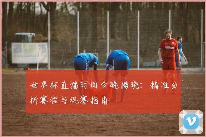 世界杯直播时间今晚揭晓：精准分析赛程与观赛指南